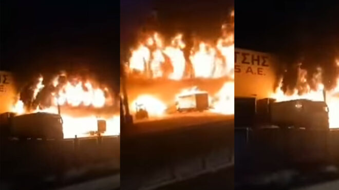 λαμία-εταιρεία-γιαννίτσης-ανακοίνω-563045725