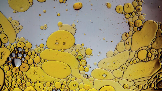 γιατί-δεν-πρέπει-να-πετάμε-το-λάδι-τηγα-563030176