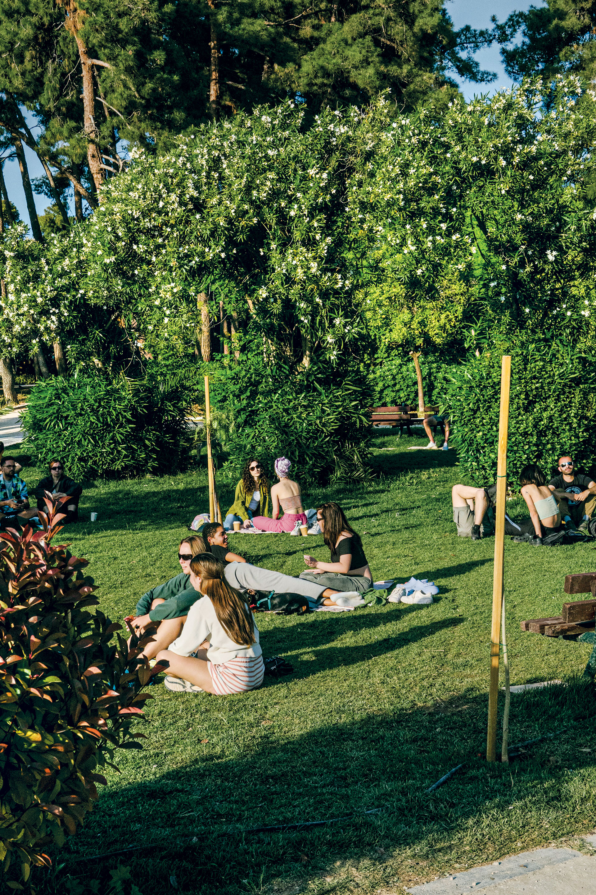 Γιατί οι Αθηναίοι «σνομπάρουν» τα πάρκα;-3