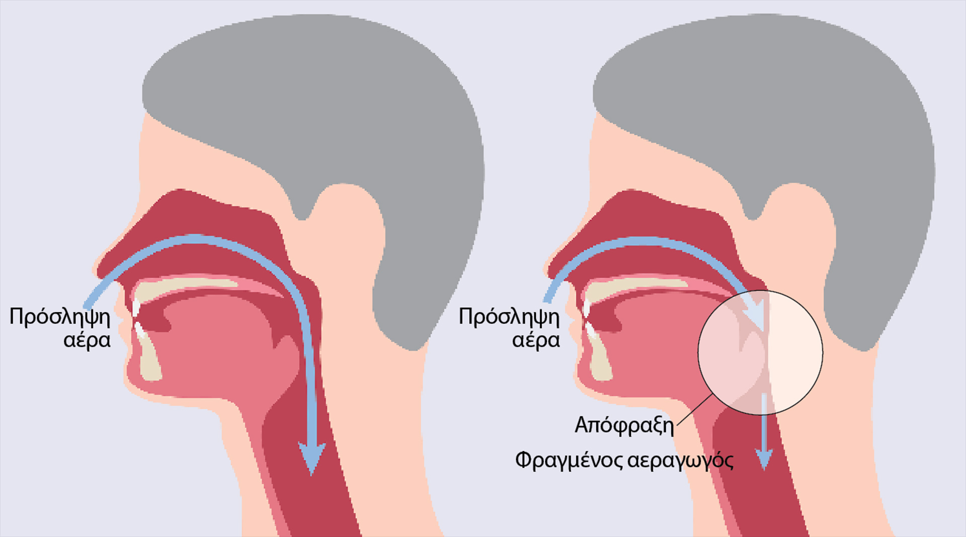 Καταγράψτε τον ύπνο σας: Κατ’ οίκον τεστ ύπνου-2