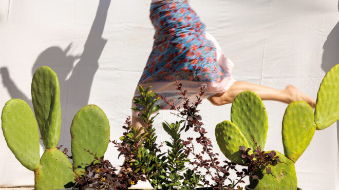 πώς-να-φτιάξετε-έναν-αντιπυρικό-φράχτ-563039650