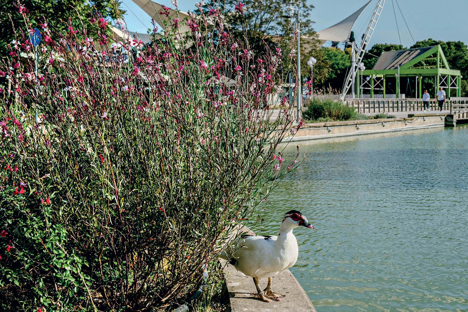 Γιατί οι Αθηναίοι «σνομπάρουν» τα πάρκα;-6