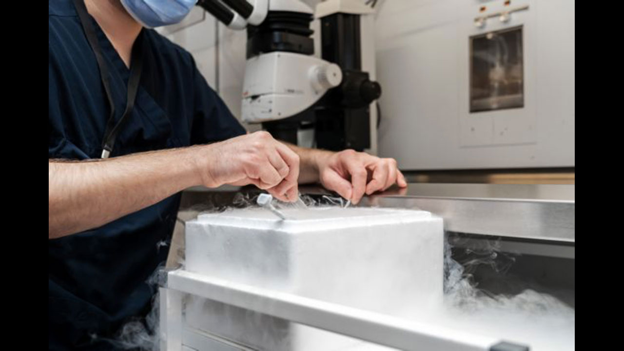 η-κατάψυξη-ωαρίων-μού-έδωσε-ελευθερί-563021083