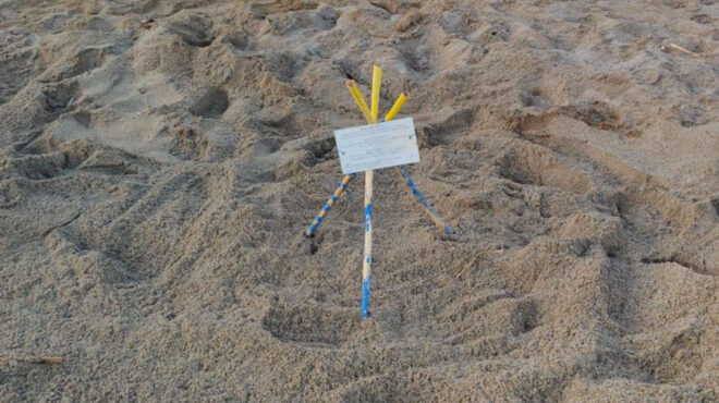 η-καρέτα-καρέτα-και-το-σοκ-της-κλιματικ-563030152