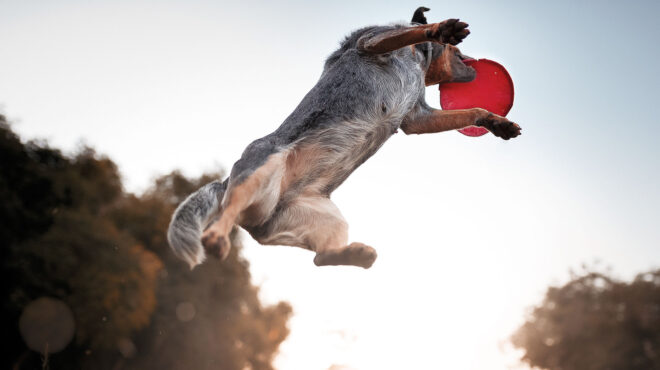 τι-χρώμα-πρέπει-να-έχουν-τα-παιχνίδια-τ-563017141