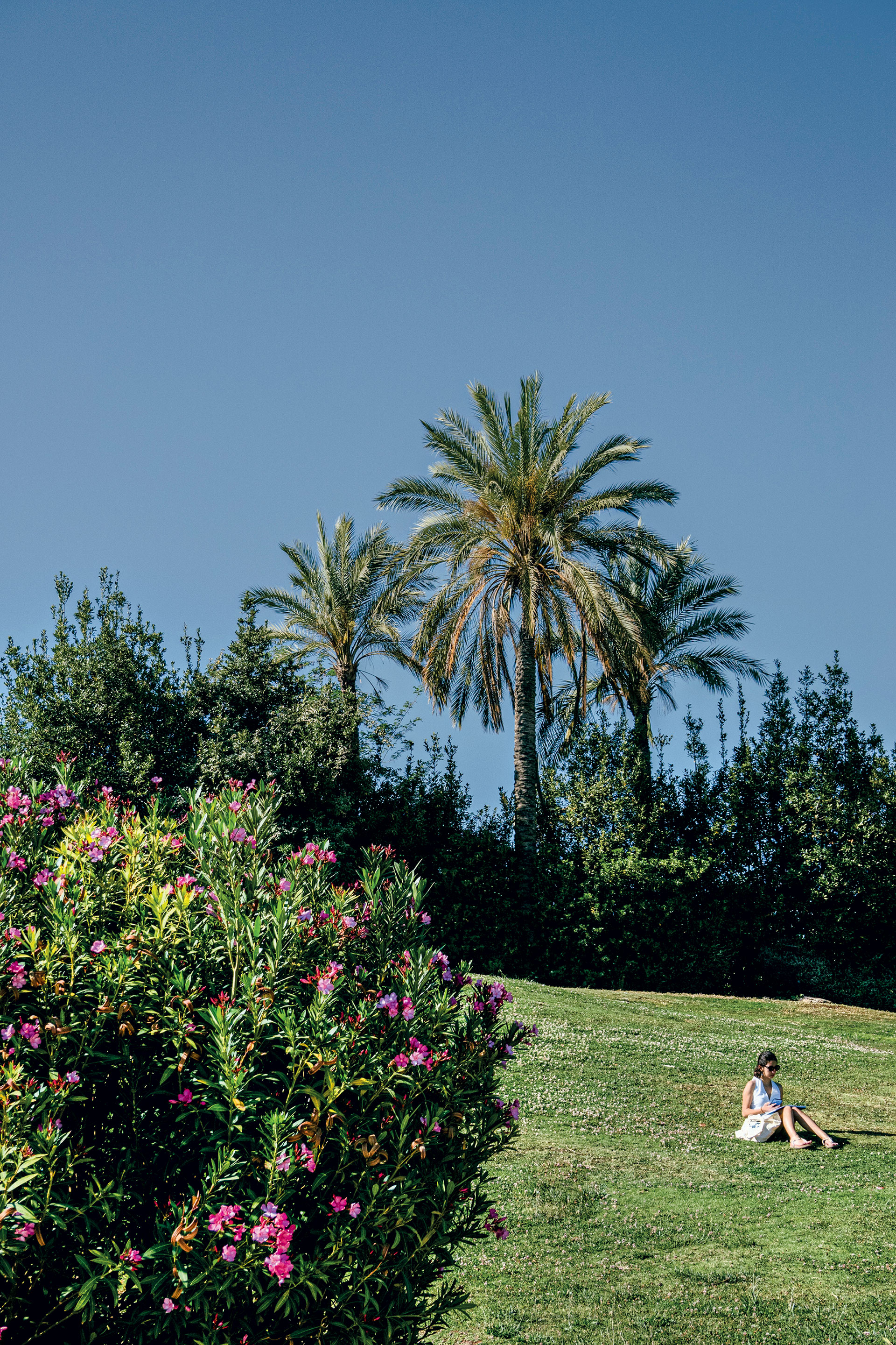 Γιατί οι Αθηναίοι «σνομπάρουν» τα πάρκα;-2