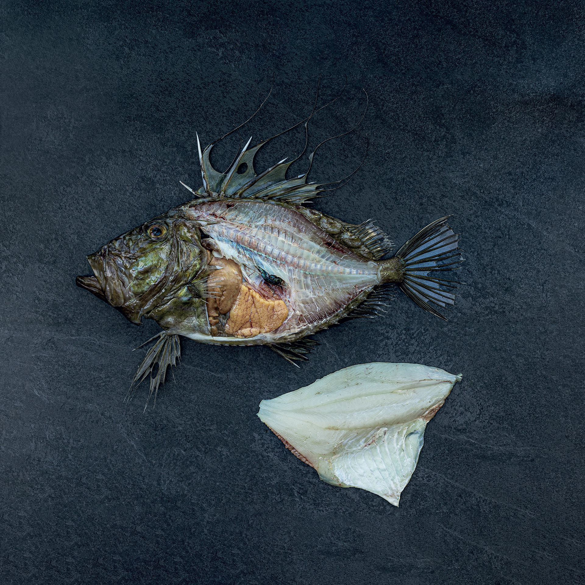 Τα αθηναϊκά μαγαζιά που βάζουν την αειφορία στο μενού τους-5