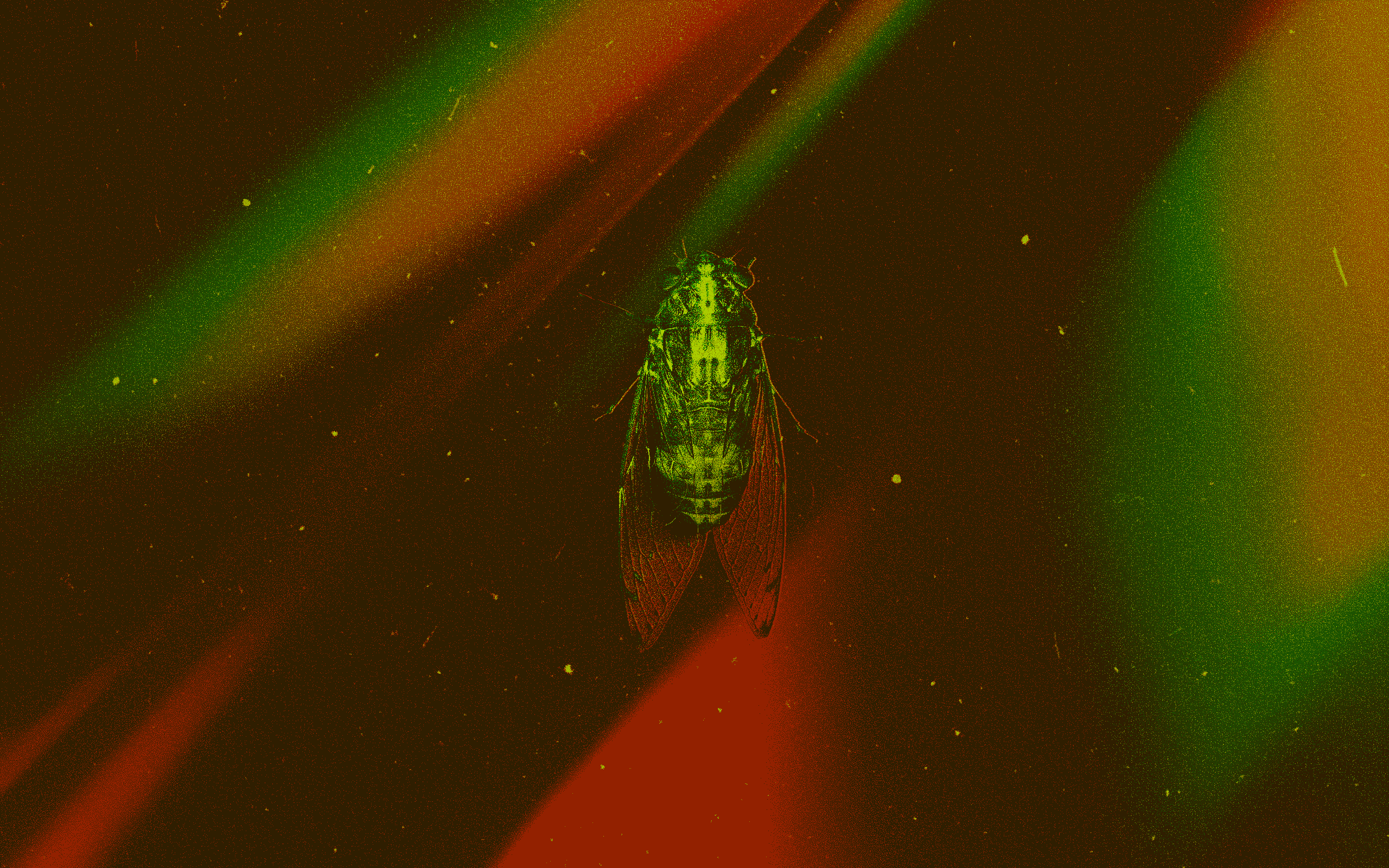 η-αποκάλυψη-των-τζιτζικιών-563033701