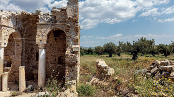 μέσα-στον-πιο-αρχαίο-ελαιώνα-της-αττικ-563009242