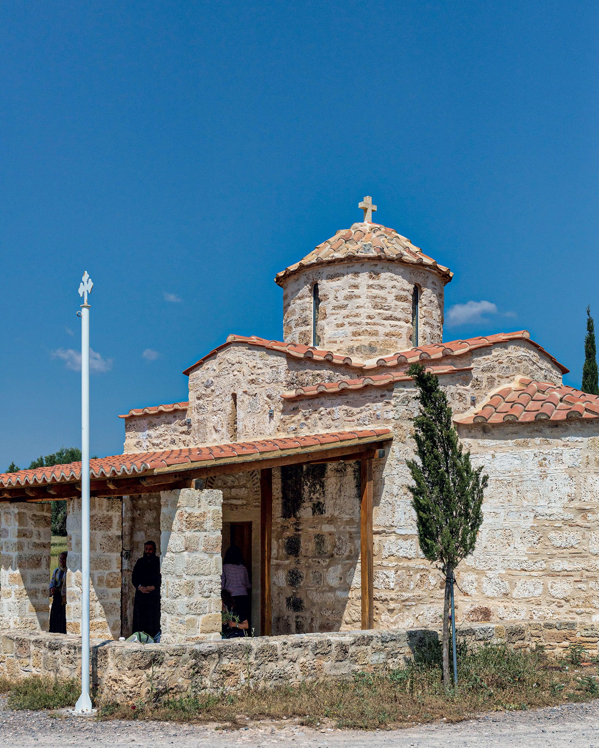 Μέσα στον πιο αρχαίο ελαιώνα της Αττικής-2