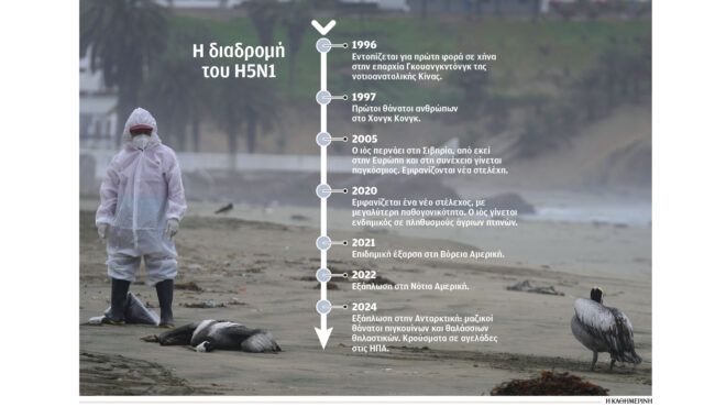 γρίπη-των-πτηνών-τι-ανησυχεί-τους-επισ-563008555