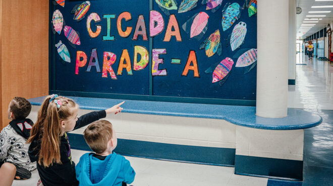 ηπα-αρμαγεδδών-τζιτζικιών-σε-12-πολιτεί-563016556