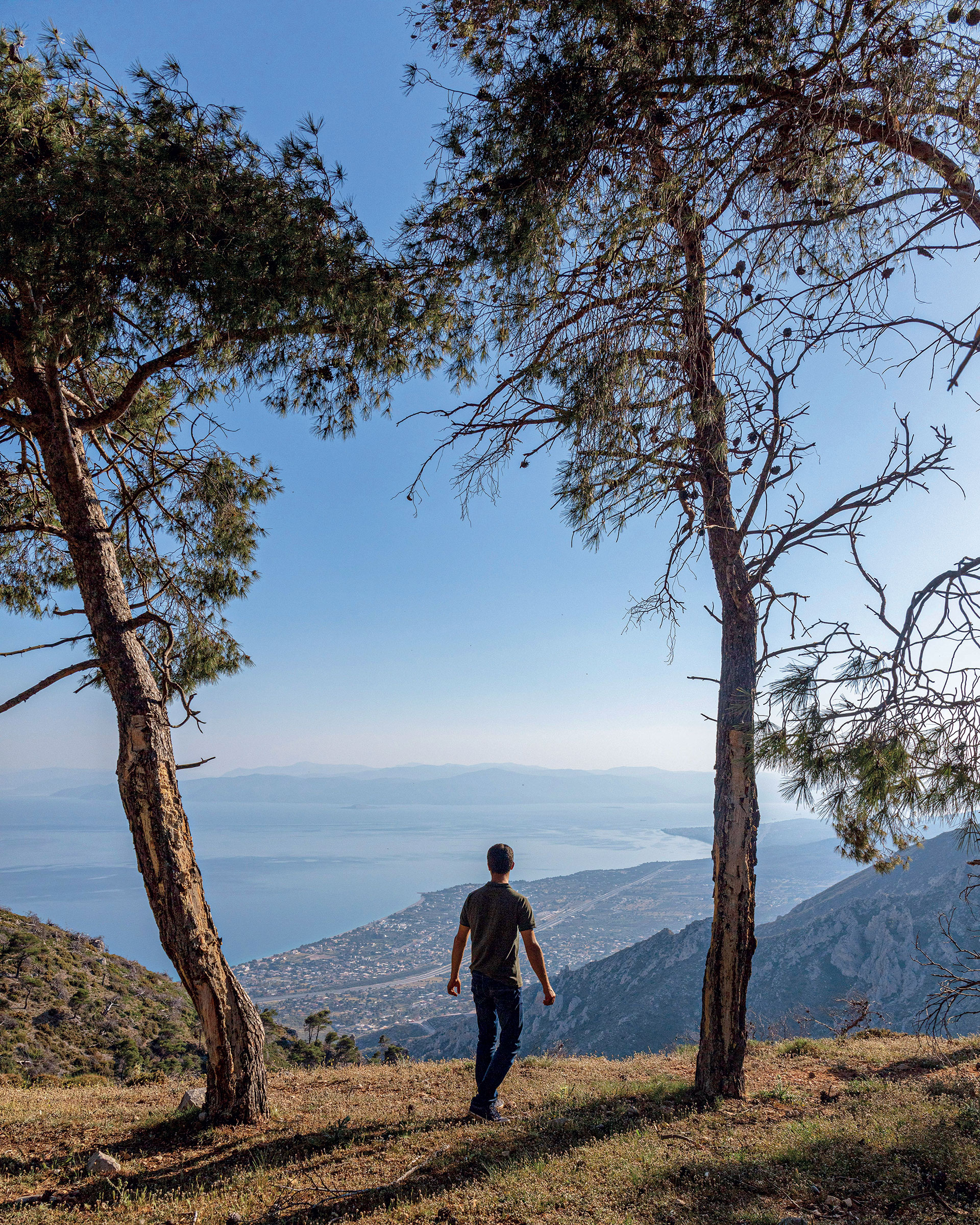 Μέσα στον πιο αρχαίο ελαιώνα της Αττικής-8