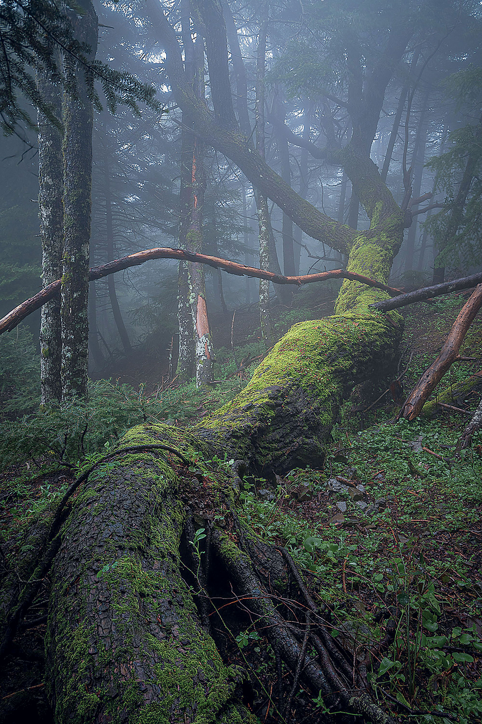 Η άγνωστη, άγρια Αττική αποκαλύπτει τα μυστικά της-2