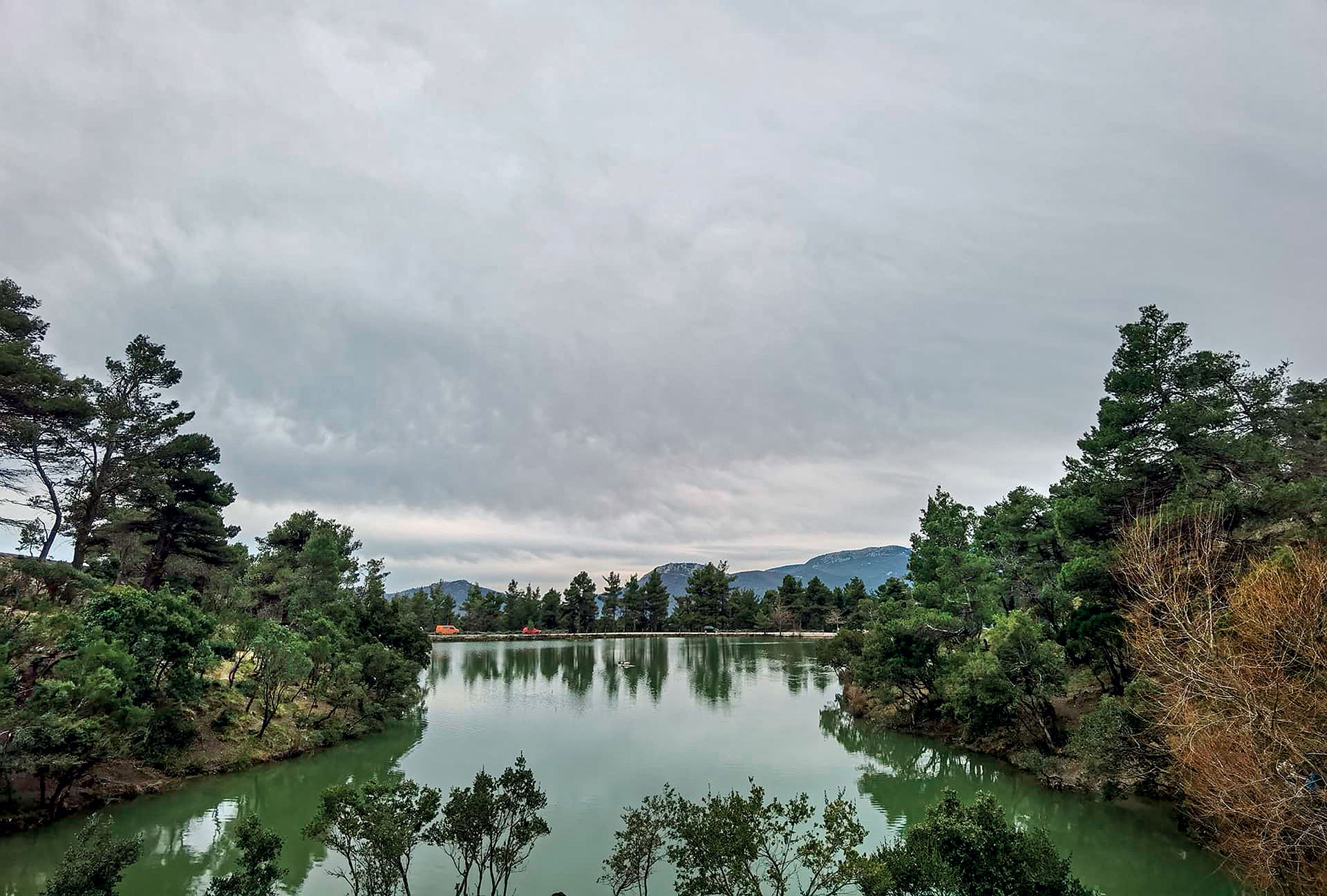 Η άγνωστη, άγρια Αττική αποκαλύπτει τα μυστικά της-4