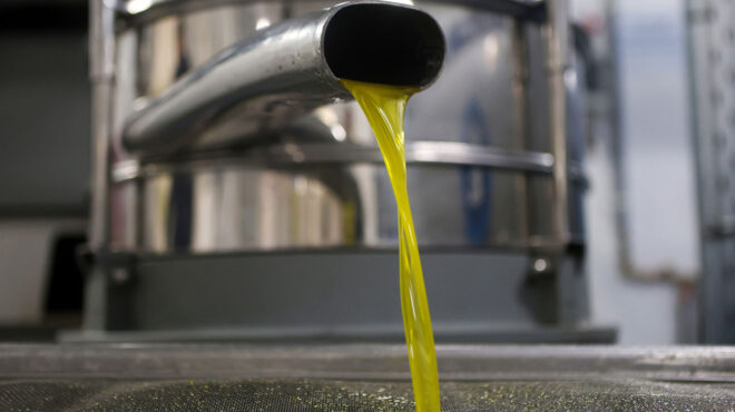 τρόφιμα-και-υπηρεσίες-οι-βασικοί-παρά-563035045