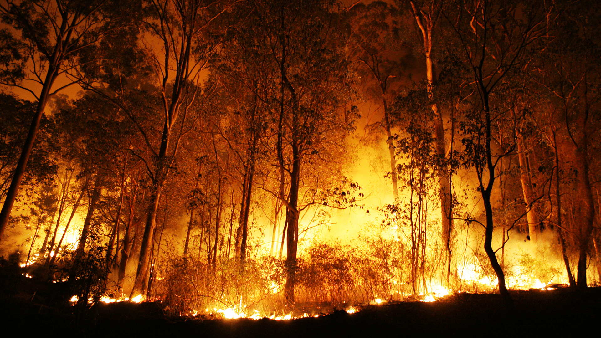 το-χαμένο-στοίχημα-του-15-c-και-ο-κλιματ-563015641