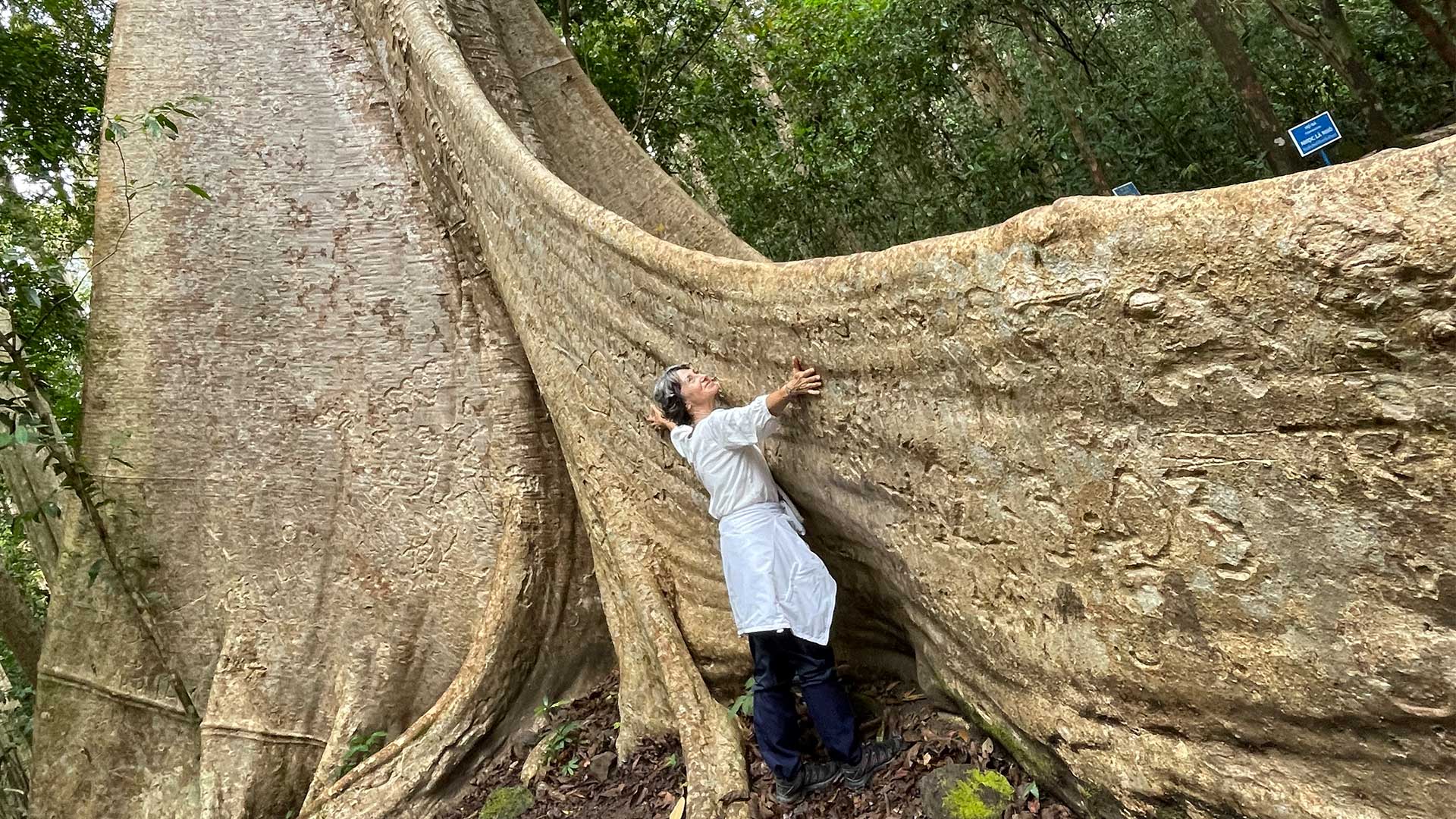 Συλλέκτες εμπειριών στο νότιο Βιετνάμ: Ενα συγκλονιστικό ταξίδι ζωής-9