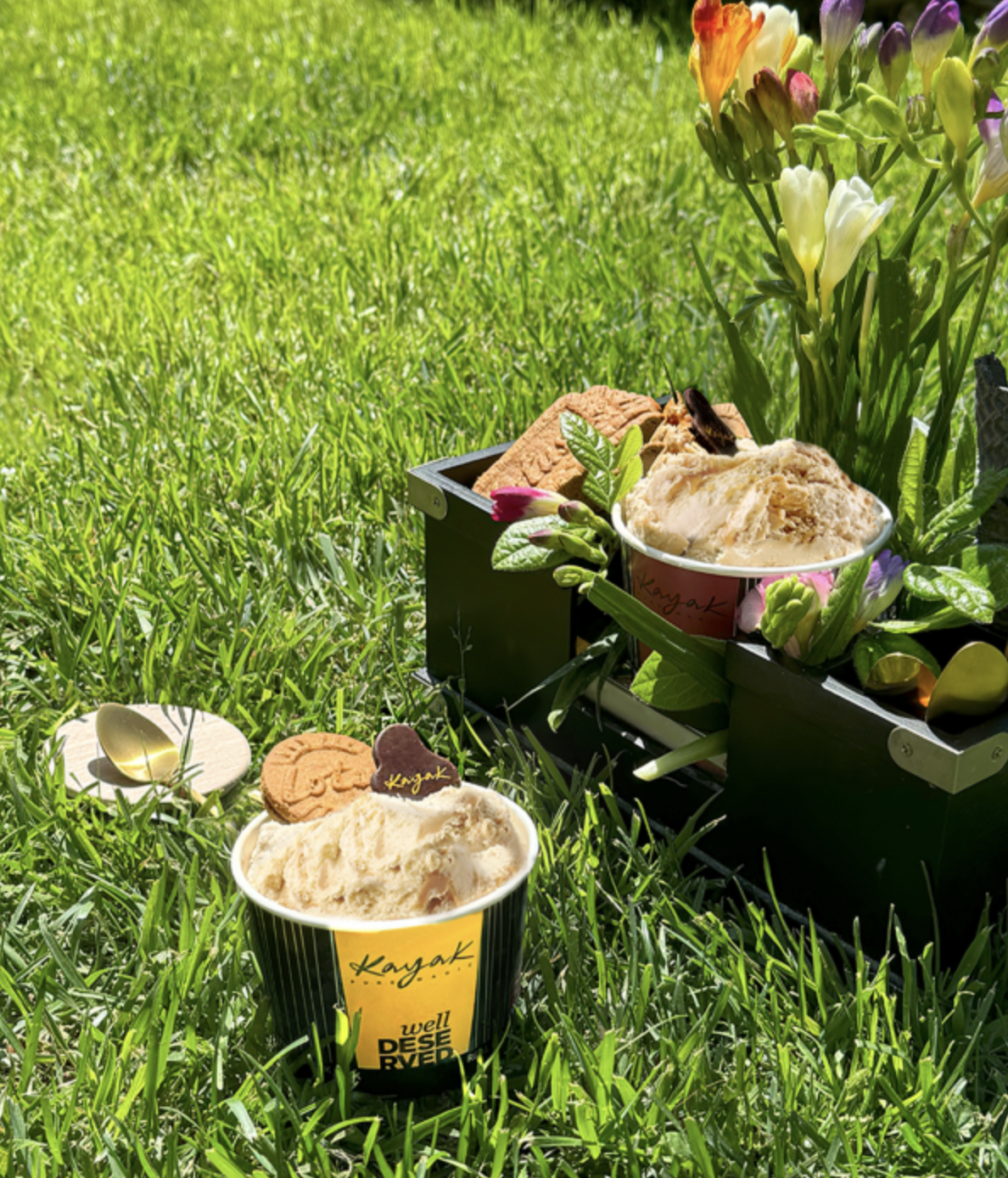 Kayak Ice Cream New Flavors-2