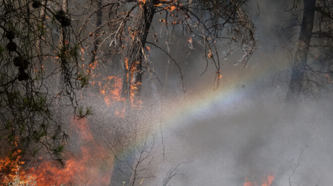 πυρκαγιά-σε-αγροτοδασική-έκταση-στα-μ-563043871