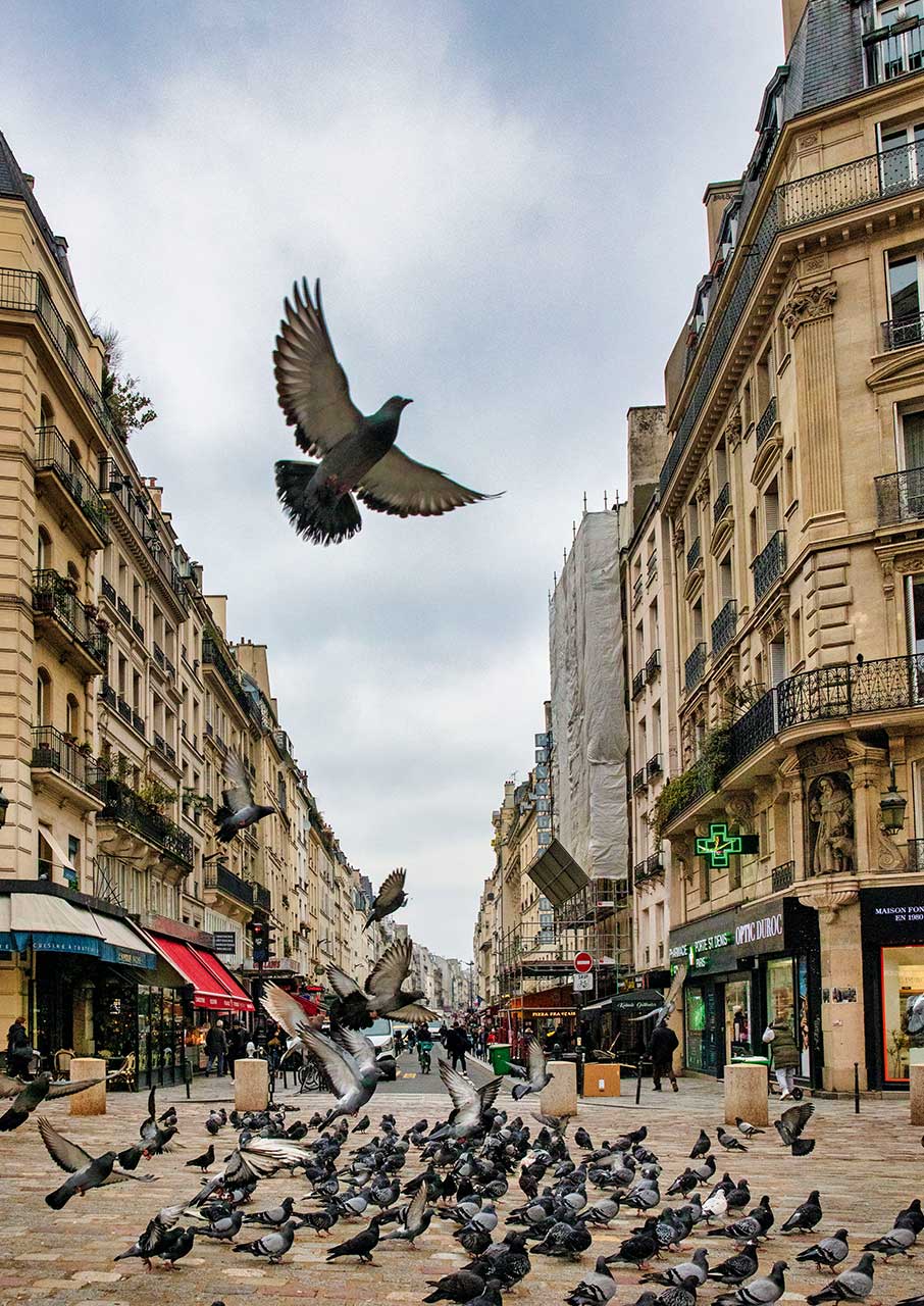 5 ξεχωριστές βόλτες σε γειτονιές του Παρισιού-10