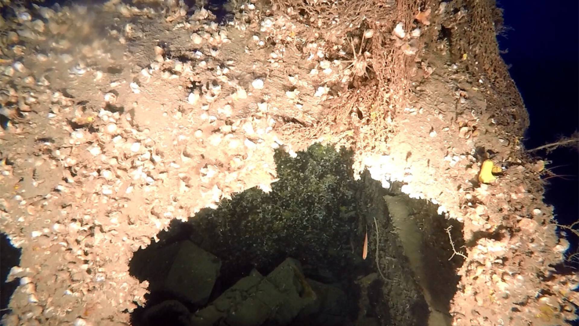 Εντοπίστηκε το ναυάγιο του «Σπερχειού» μετά από 79 χρόνια (εικόνες – βίντεο)-2