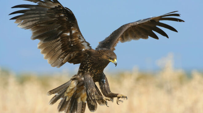 ερευνα-ο-πόλεμος-στην-ουκρανία-ξαναγ-563034124