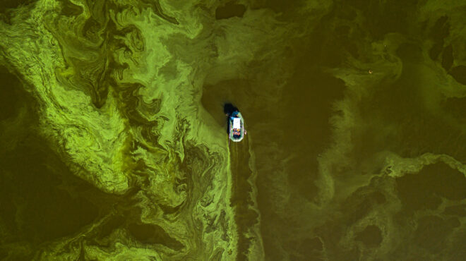 θα-ξεχάσουμε-τις-μπλε-θάλασσες-563051227