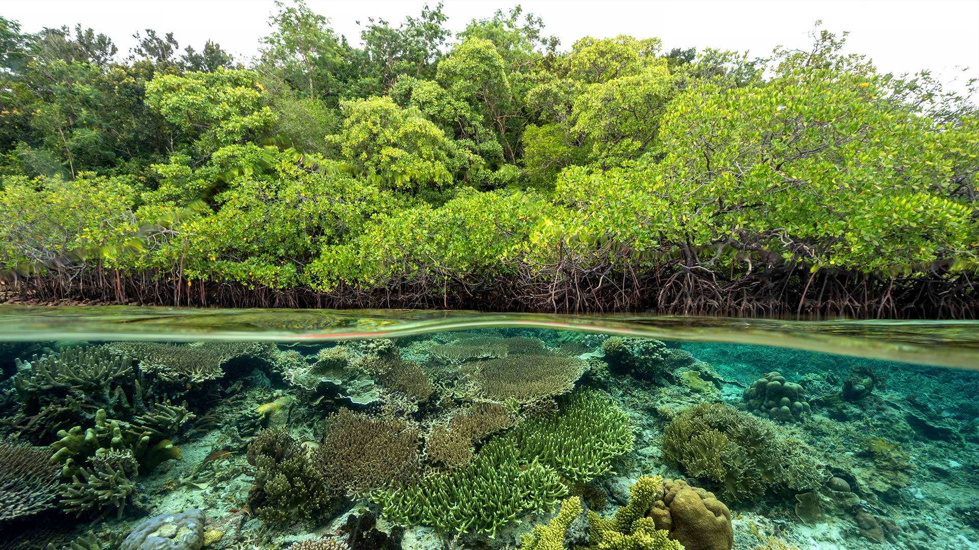 Τα πιο εξωπραγματικά μέρη στην Ασία-1