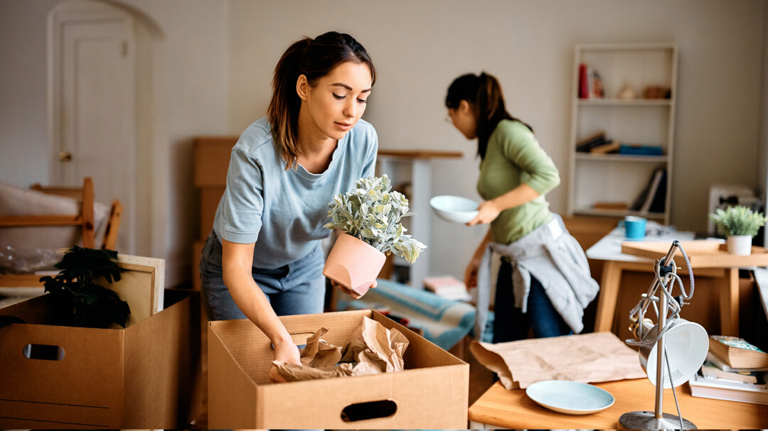 η-γενιά-που-ψάχνει-συγκάτοικο-563047438