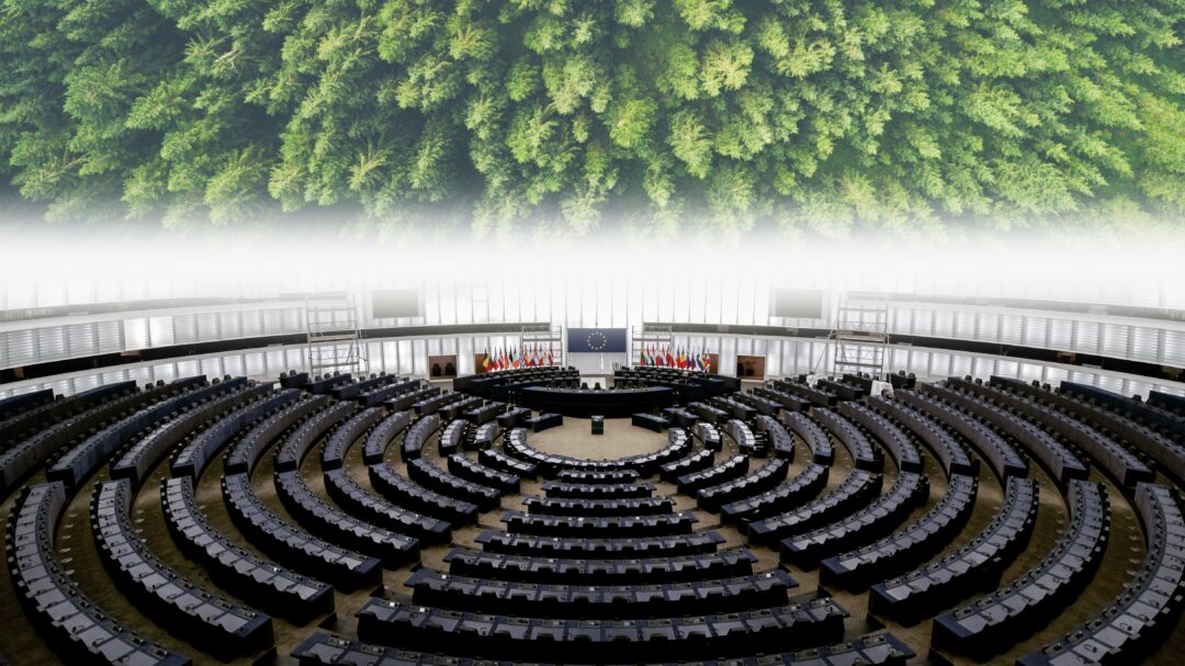 ερευνα-το-περιβάλλον-στην-ευρωκάλπη-563022808