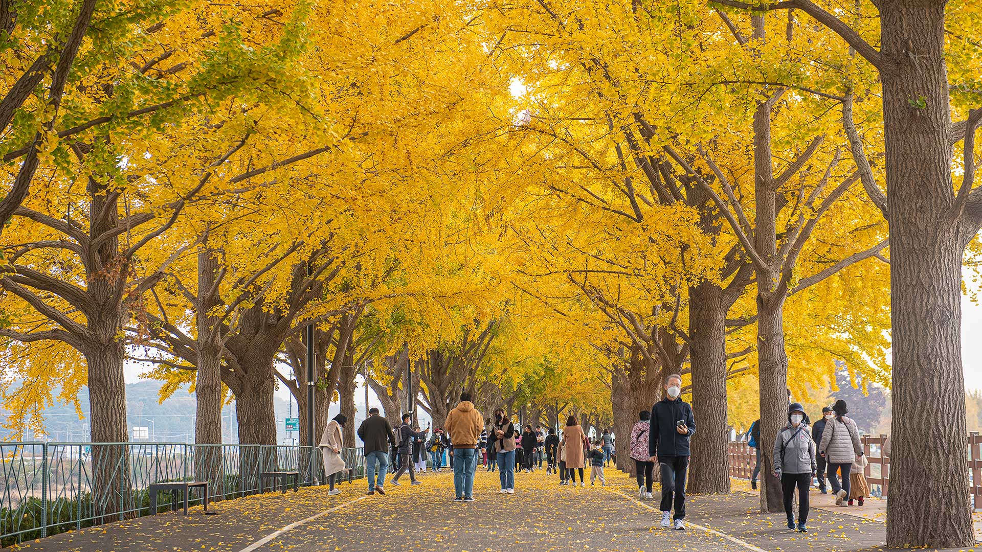 Τα πιο εξωπραγματικά μέρη στην Ασία-2