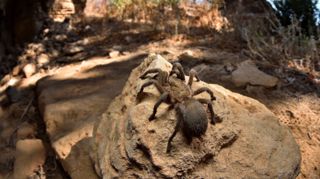 τουρκία-συνελήφθη-άνδρας-που-επιχείρ-563022889