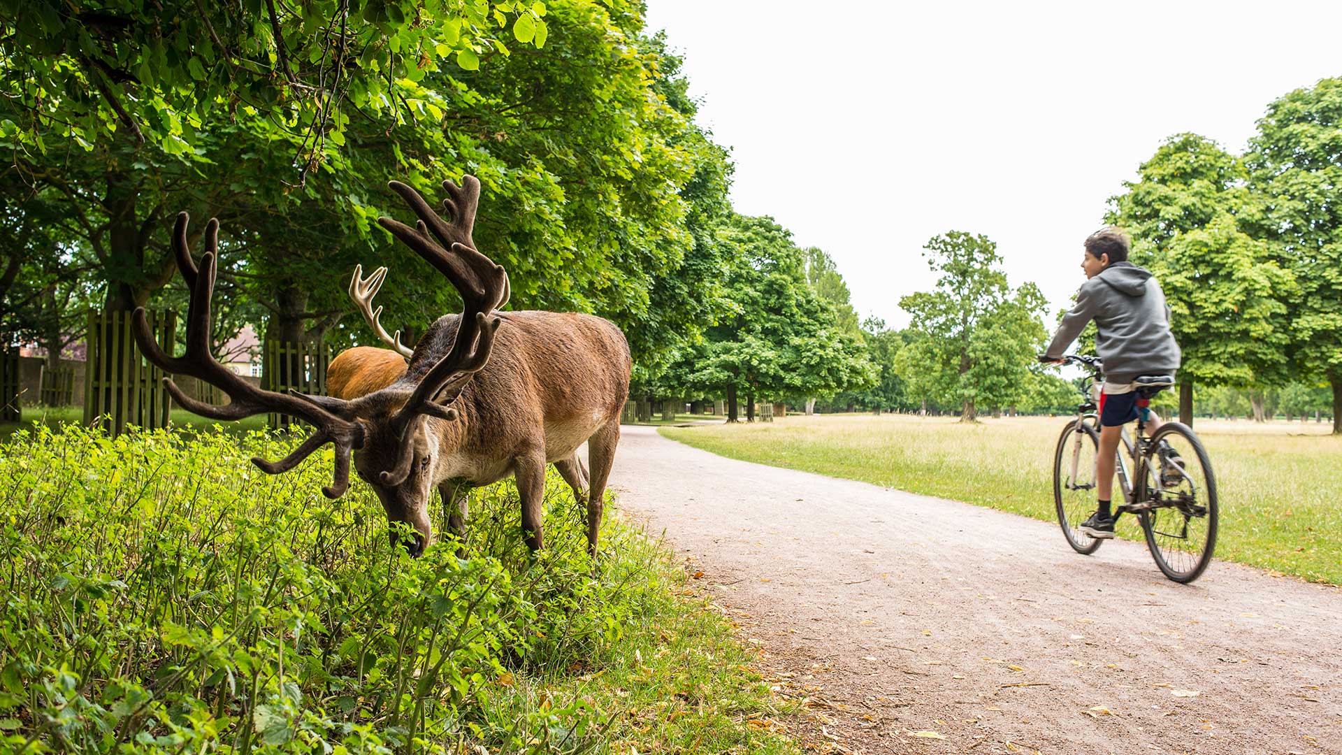 5 πάρκα στο Λονδίνο για το καλοκαίρι-4