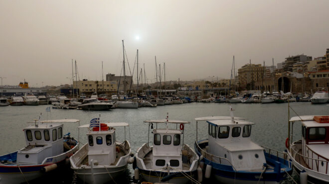 αυξημένες-συγκεντρώσεις-αφρικανικής-563032933