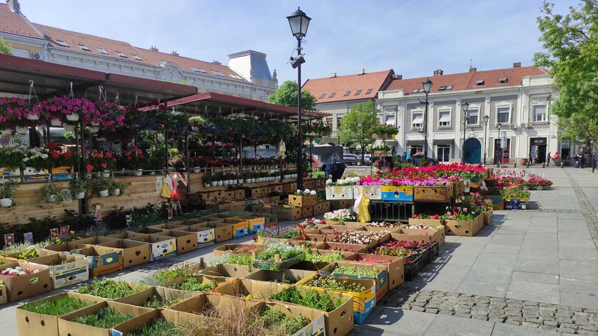 Το Ζεμούν είναι η πιο ατμοσφαιρική συνοικία του Βελιγραδίου-4