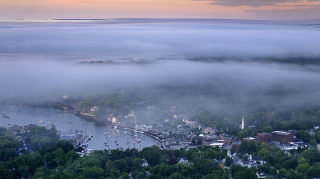 μαζικές-δεντροκτονίες-για-μια-καλύ-563088340
