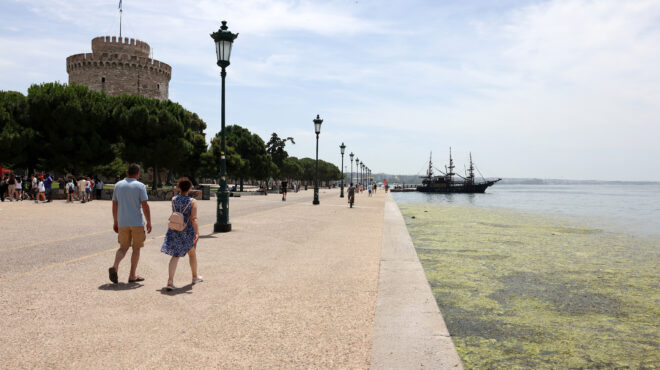 θεσσαλονίκη-επέστρεψε-το-φυτοπλαγκτ-563073139