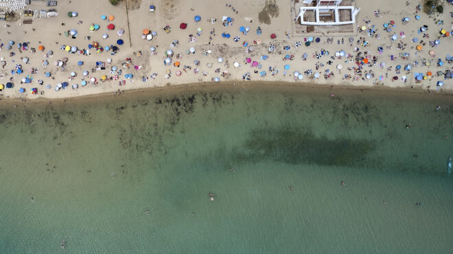 παπαστεργίου-σχεδόν-9-000-οι-καταγγελίες-563096110