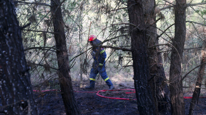 θεσσαλονίκη-κακουργηματική-δίωξη-στ-563065498