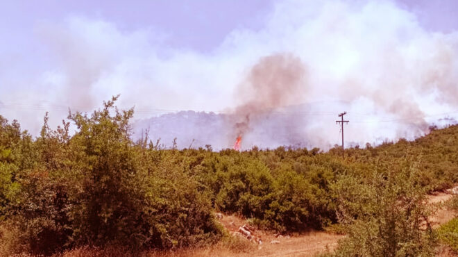 ηράκλειο-πυρκαγιά-στην-περιοχή-καρτε-563094739