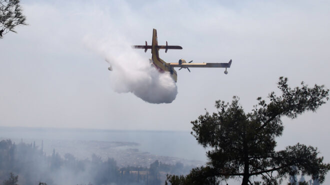 βοιωτία-πυρκαγιά-σε-γεωργική-έκταση-σ-563059438
