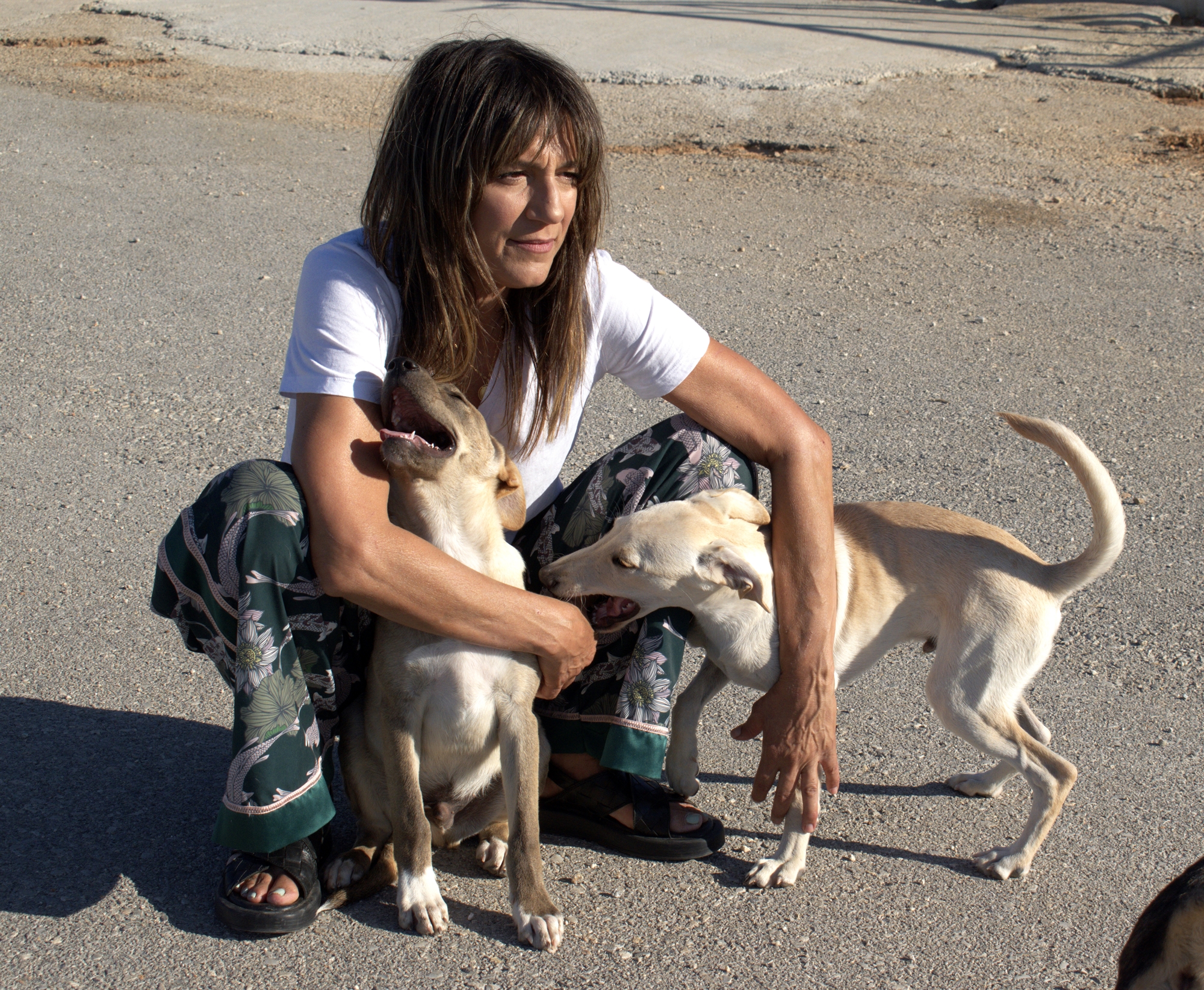 «Αδέσποτοι» οι δήμοι, ηρωικοί εθελοντές-3