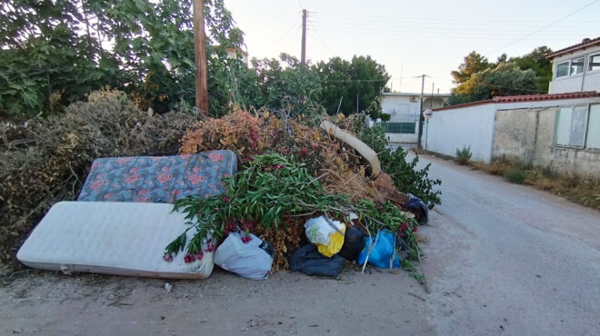 προσανάμματα-εν-αναμονή-μετά-τους-καθ-563092843