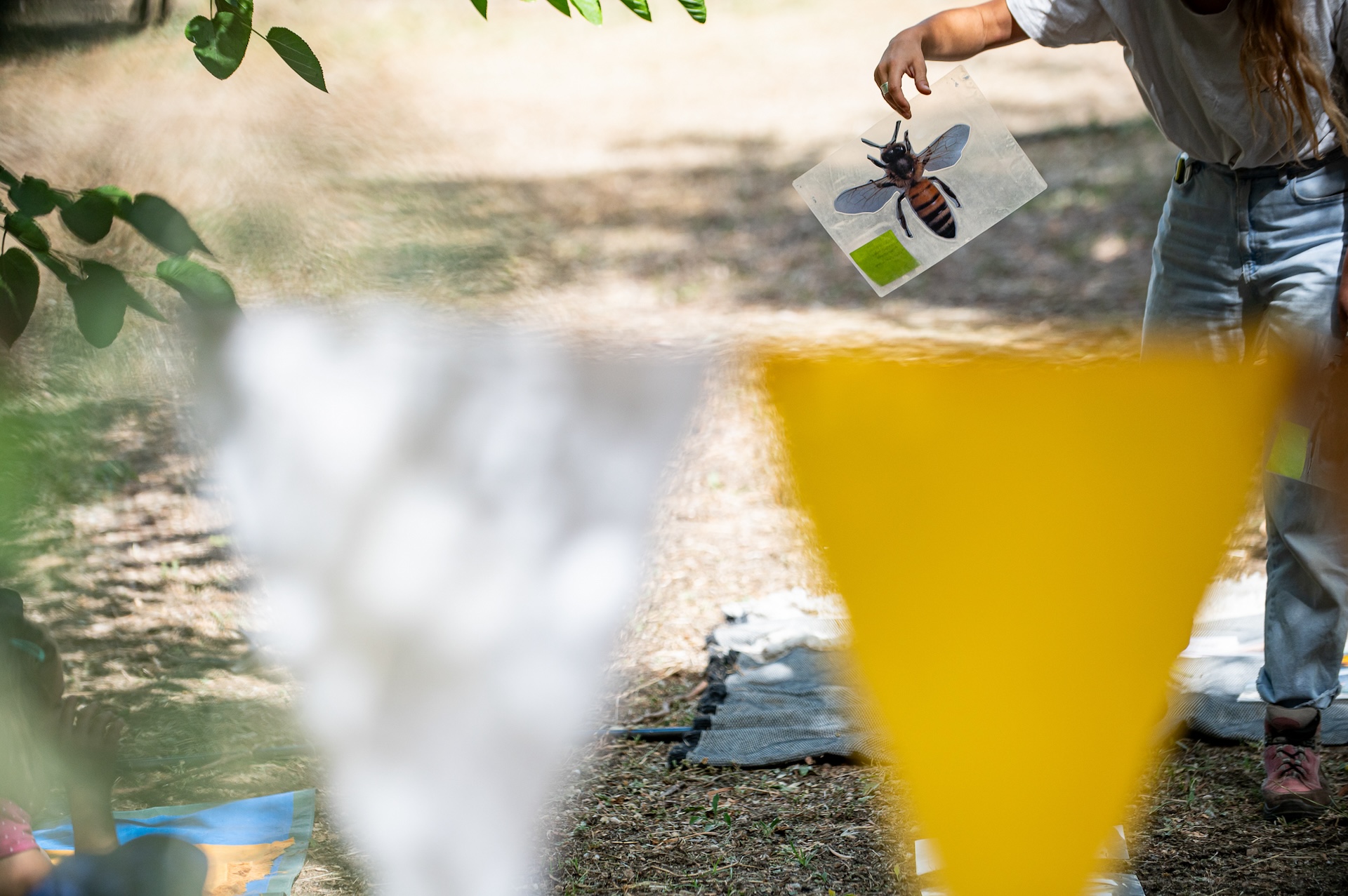 Η Helleniq Energy συστήνει τον μαγικό κόσμο των μελισσών στα παιδιά-5