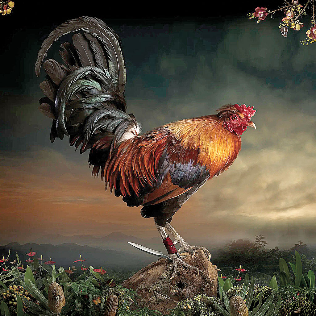 Η κοινωνία του 19ου αιώνα-1