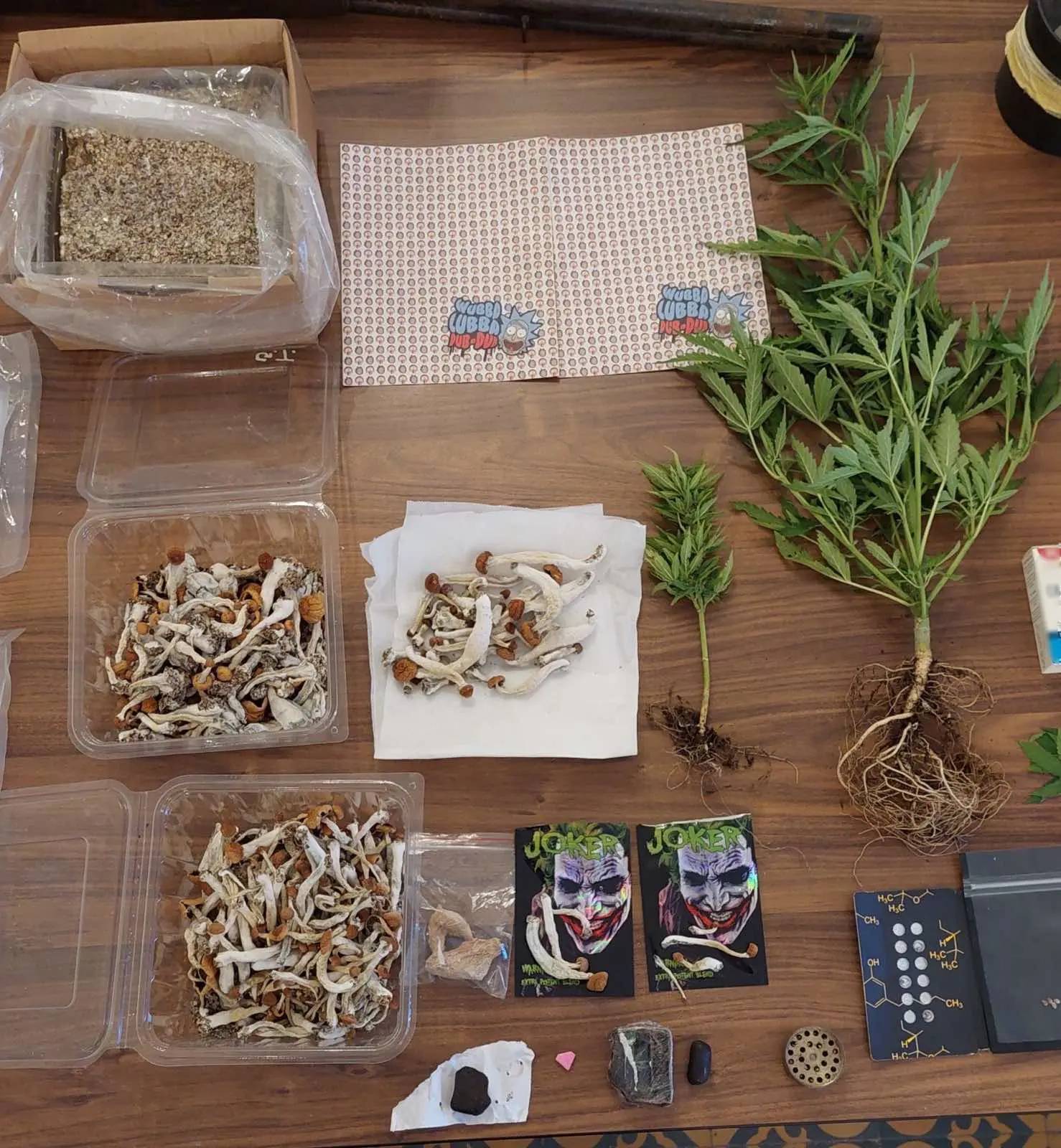 Ειδικός φρουρός ήταν μέλος σπείρας που διακινούσε ναρκωτικά – Πέντε συλλήψεις-1