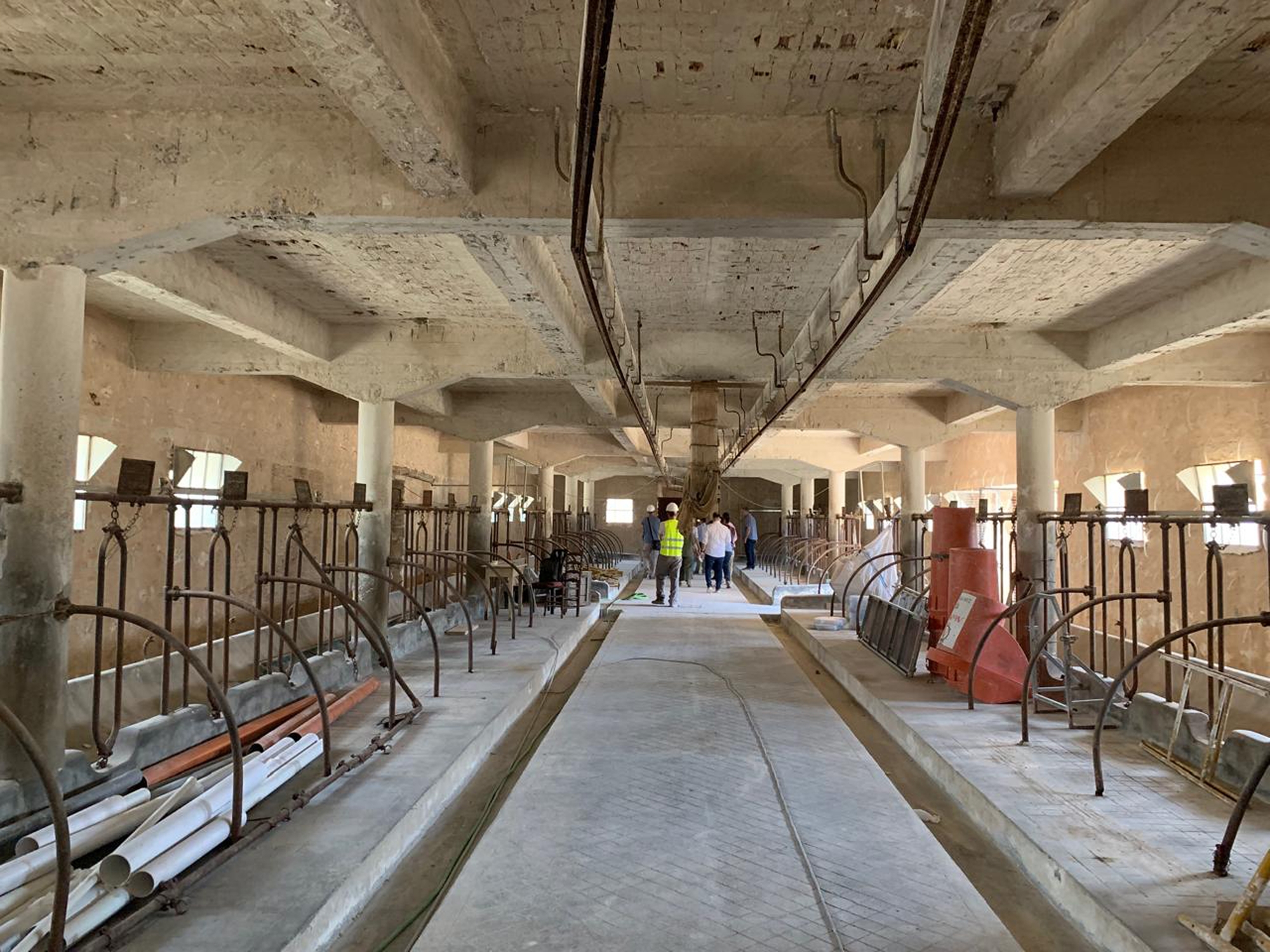 Τατόι: Μάχη με τον χρόνο για να ολοκληρωθεί το 2025-2