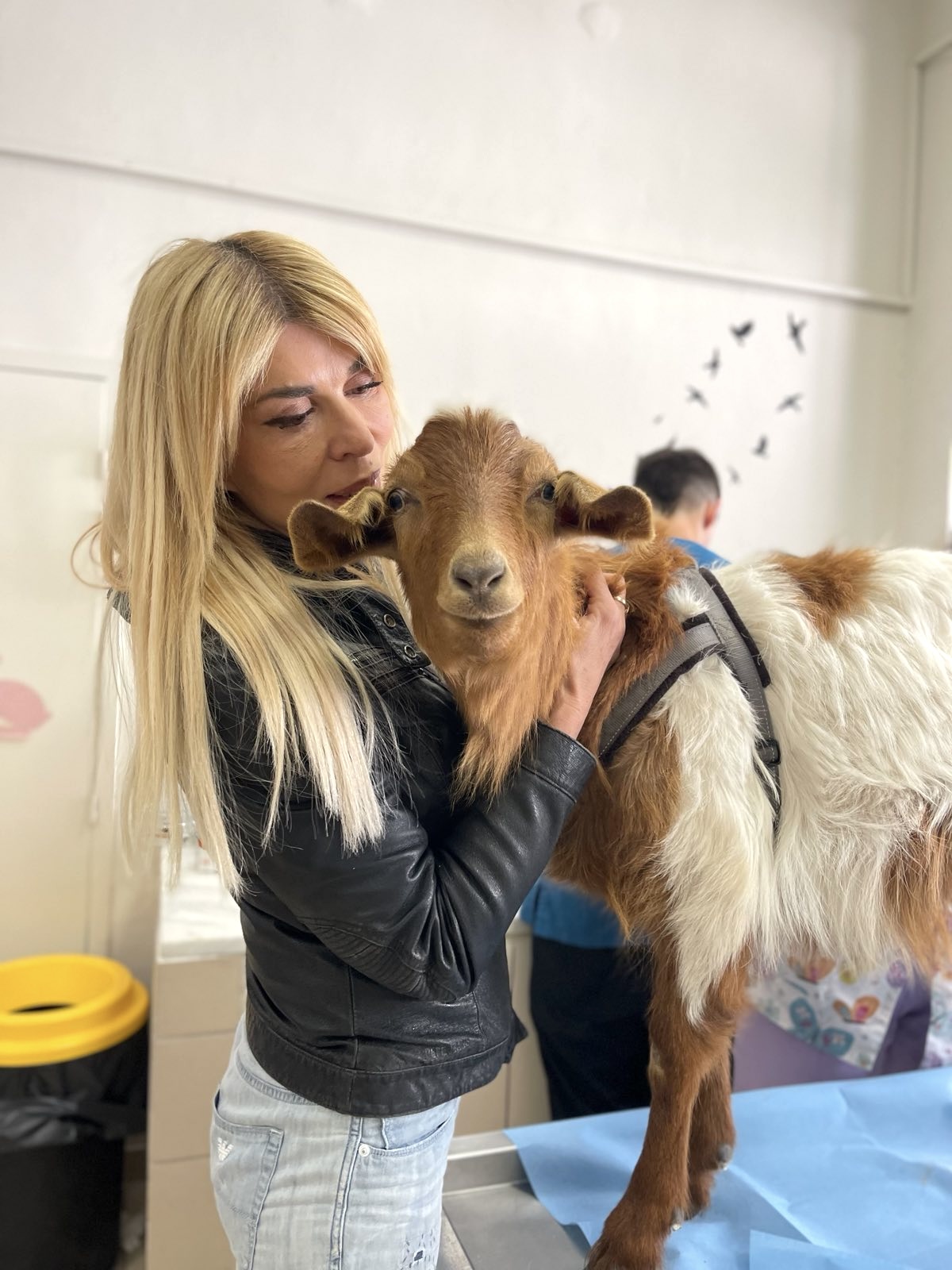 «Αδέσποτοι» οι δήμοι, ηρωικοί εθελοντές-2