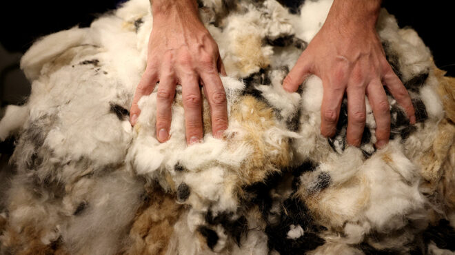 φιλτράρισμα-με-φυσικά-υλικά-563060176